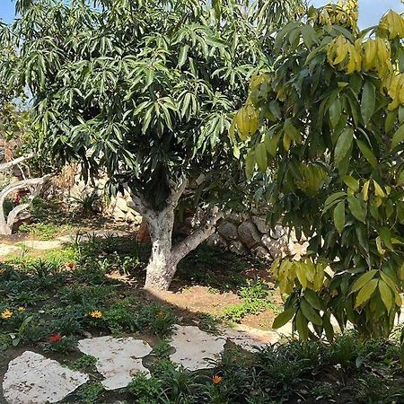 Villa אחוזת היניבים Yaniv Estate à Nurit Extérieur photo