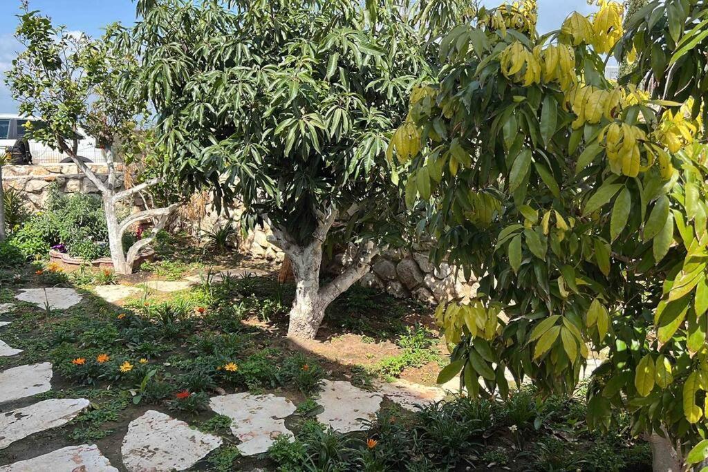 Villa אחוזת היניבים Yaniv Estate à Nurit Extérieur photo
